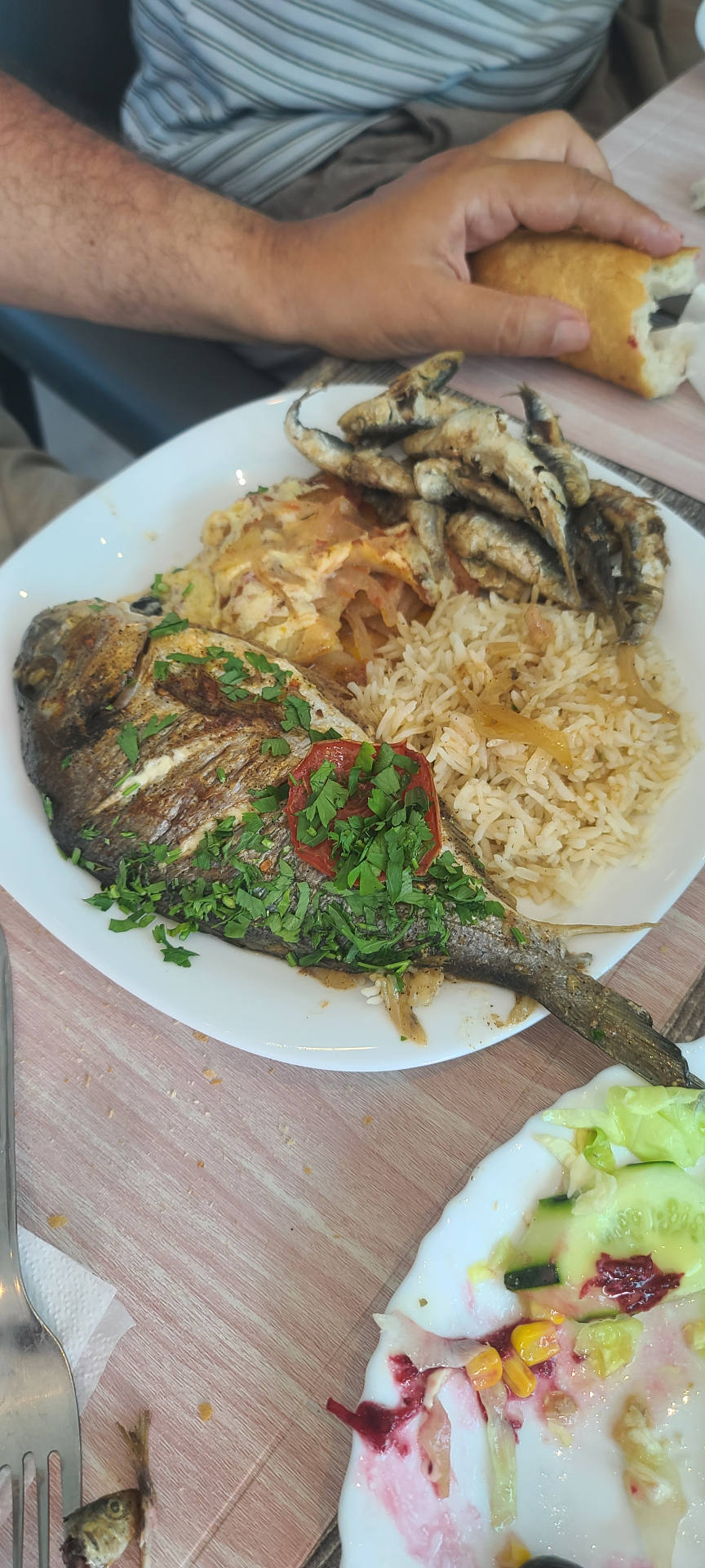 طبق من مطعم المخيم